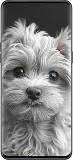 Силіконовий чехол Мальтипу на чорному фоні для Oppo Find X5 Pro - 6156u-2603 изображение 