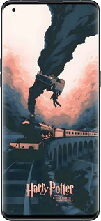 Силиконовый чехол Гарри Поттер для Oppo Find X5 Pro - 6331u-2603 изображение 