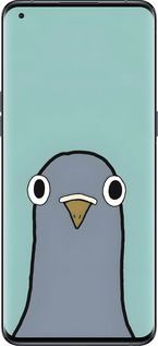 Силіконовий чехол Голубь для Oppo Find X5 Pro - 6388u-2603 изображение 