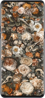 Силиконовый чехол В стиле барокко-мрачный для Oppo Find X5 Pro - 6404u-2603 изображение 