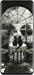 Силіконовий чехол Череп та коти для Oppo Find X5 Pro - 6432u-2603 изображение 