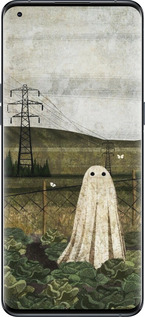Силіконовий чехол Ілюстрація привид у капусті для Oppo Find X5 Pro - 6440u-2603 изображение 
