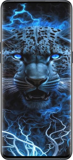 Силиконовый чехол Ледяной леопард для Oppo Find X5 Pro - 6460u-2603 изображение 