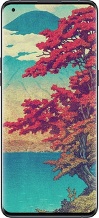 Силиконовый чехол С изображением природы для Oppo Find X5 Pro - 6469u-2603 изображение 