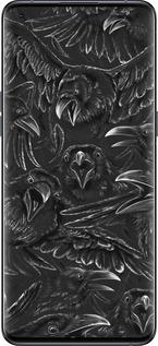 Силиконовый чехол Воронья ярость для Oppo Find X5 Pro - 6474u-2603 изображение 