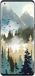 Силиконовый чехол С изображением лесного пейзажа для Oppo Find X5 Pro - 6548u-2603 изображение 