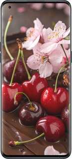 Силиконовый чехол Вишня в шоколаде для Oppo Find X5 Pro - 6698u-2603 изображение 