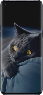 Силіконовий чехол Димчастий кіт для Oppo Find X5 Pro - 825u-2603 изображение 