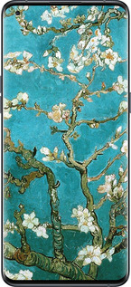 Силіконовий чехол Вінсент Ван Гог. Сакура для Oppo Find X5 Pro - 841u-2603 изображение 
