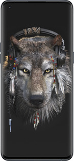 Силиконовый чехол Волк-меломан для Oppo Find X5 Pro - 875u-2603 изображение 