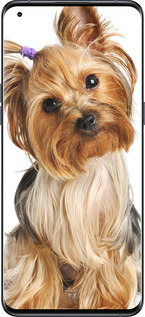 Силиконовый чехол Йоркширский терьер с хвостиком для Oppo Find X5 Pro - 930u-2603 изображение 