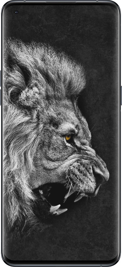 Силіконовий чехол Лев для Oppo Find X5 Pro - 1080u-2603 изображение 