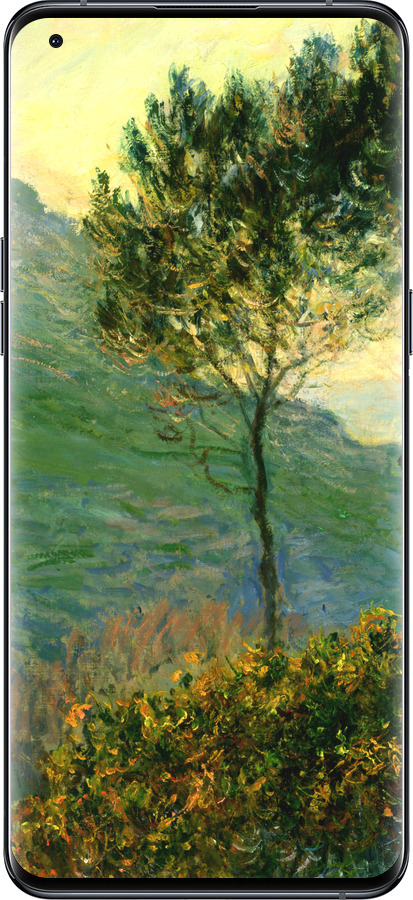 Силиконовый чехол Клод Моне для Oppo Find X5 Pro - 1193u-2603 изображение 