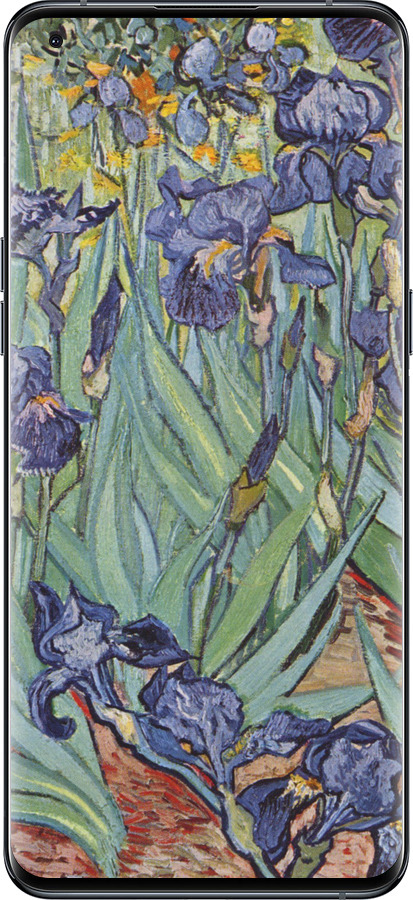 Силиконовый чехол Винсент Ван Гог. Ирисы для Oppo Find X5 Pro - 161u-2603 изображение 