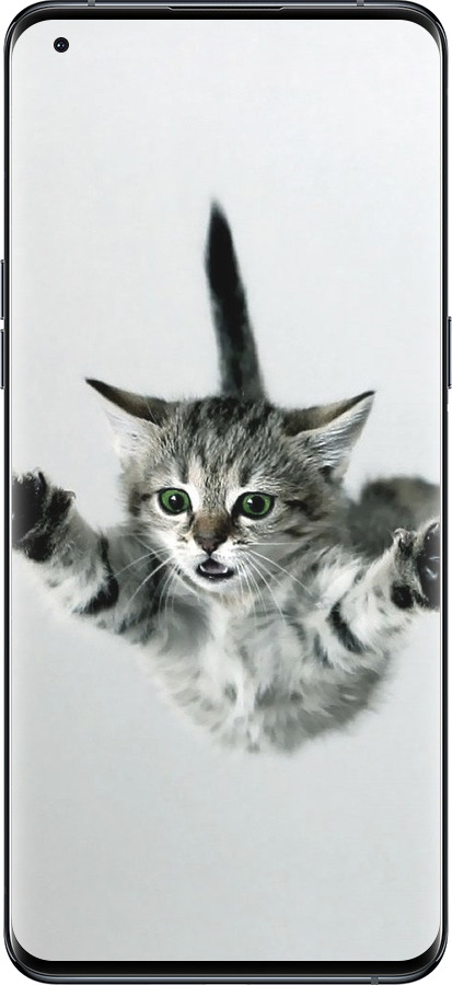 Силіконовий чехол Літаюче кошеня для Oppo Find X5 Pro - 2322u-2603 изображение 