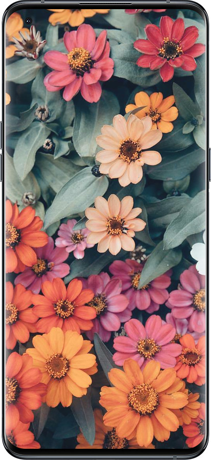 Силіконовий чехол Beauty flowers для Oppo Find X5 Pro - 4050u-2603 изображение 