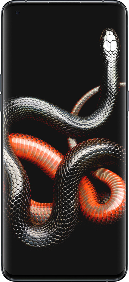 Силіконовий чехол Червоно-чорна змія на чорному фоні для Oppo Find X5 Pro - 4063u-2603 изображение 