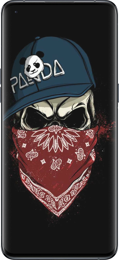 Силиконовый чехол Череп в кепке для Oppo Find X5 Pro - 4127u-2603 изображение 