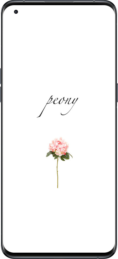 Силіконовий чехол Півонія для Oppo Find X5 Pro - 4366u-2603 изображение 