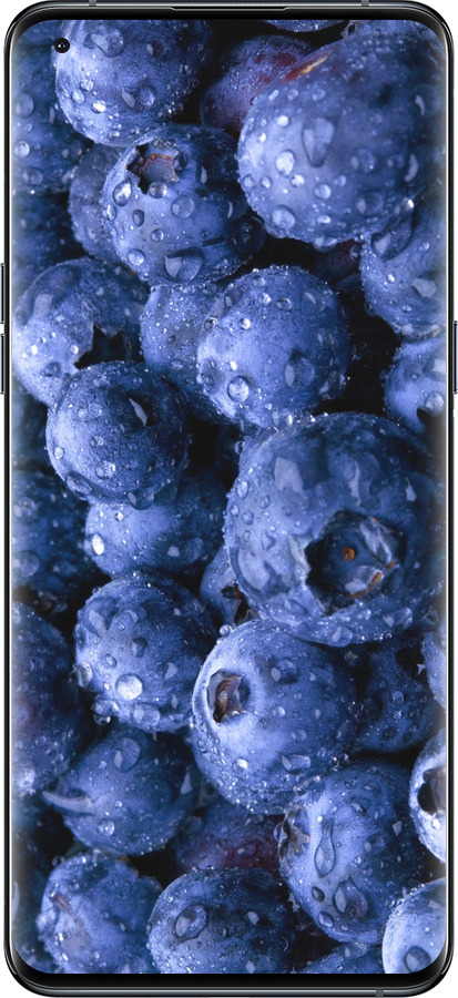 Силиконовый чехол Голубика для Oppo Find X5 Pro - 4459u-2603 изображение 