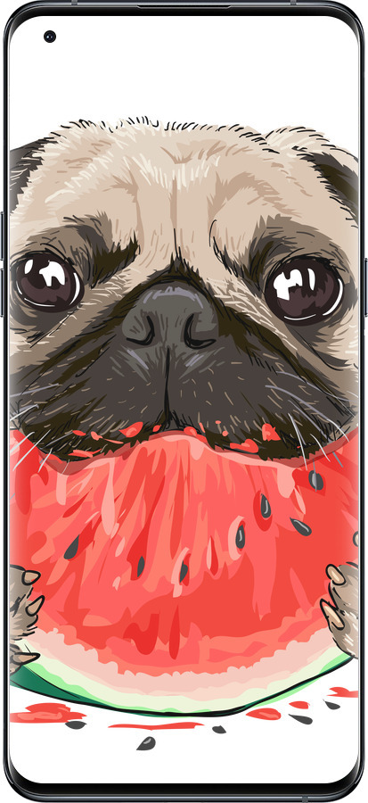Силиконовый чехол Мопс и арбуз для Oppo Find X5 Pro - 4665u-2603 изображение 