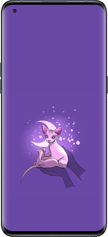 Силиконовый чехол Кот2 для Oppo Find X5 Pro - 4676u-2603 изображение 