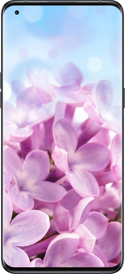 Силиконовый чехол Сирень для Oppo Find X5 Pro - 527u-2603 изображение 