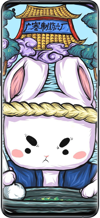 Силиконовый чехол № 5342 для Oppo Find X5 Pro - 5342u-2603 изображение 