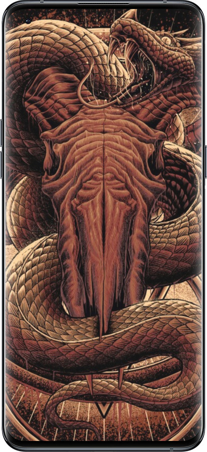 Силиконовый чехол № 5418 для Oppo Find X5 Pro - 5418u-2603 изображение 