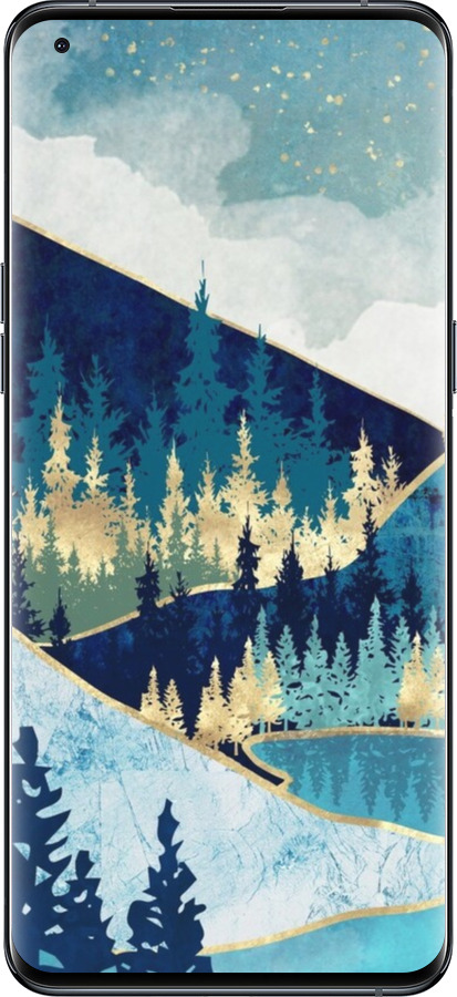 Силиконовый чехол № 5428 для Oppo Find X5 Pro - 5428u-2603 изображение 