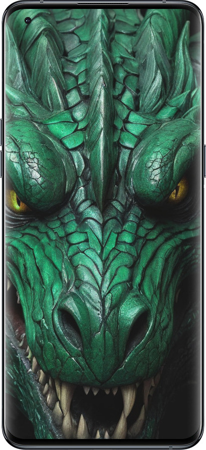 Силиконовый чехол Зелёный дракон v2 для Oppo Find X5 Pro - 5817u-2603 изображение 