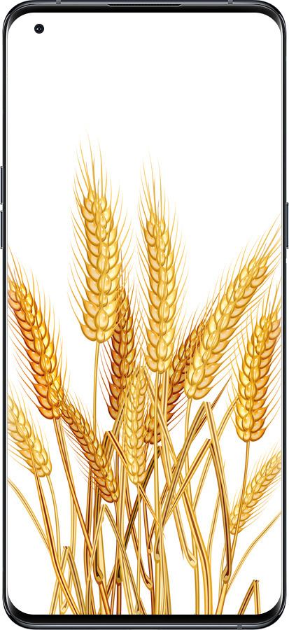Силиконовый чехол Колоски пшеници для Oppo Find X5 Pro - 5866u-2603 изображение 