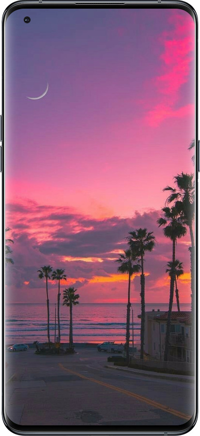 Силиконовый чехол Пальмы для Oppo Find X5 Pro - 5873u-2603 изображение 