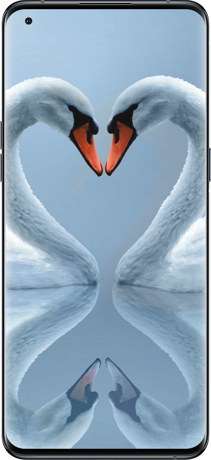 Силиконовый чехол Лебеди для Oppo Find X5 Pro - 6007u-2603 изображение 