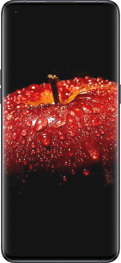 Силиконовый чехол Яблоко для Oppo Find X5 Pro - 6022u-2603 изображение 