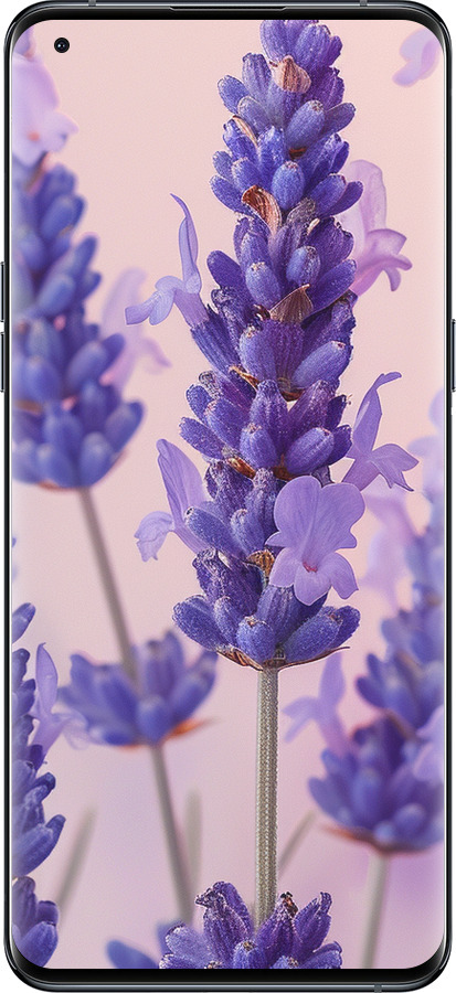 Силіконовий чехол Лаванда для Oppo Find X5 Pro - 6037u-2603 изображение 