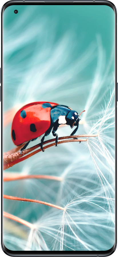 Силиконовый чехол Божья коровка для Oppo Find X5 Pro - 6049u-2603 изображение 