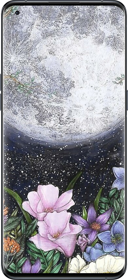 Силиконовый чехол Полночь в саду для Oppo Find X5 Pro - 6259u-2603 изображение 