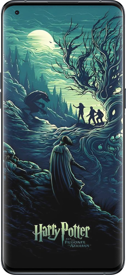 Силиконовый чехол Гарри Поттер 3 для Oppo Find X5 Pro - 6338u-2603 изображение 