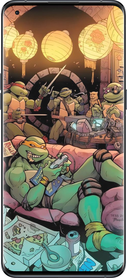 Силиконовый чехол Черепашки нинзя для Oppo Find X5 Pro - 6346u-2603 изображение 