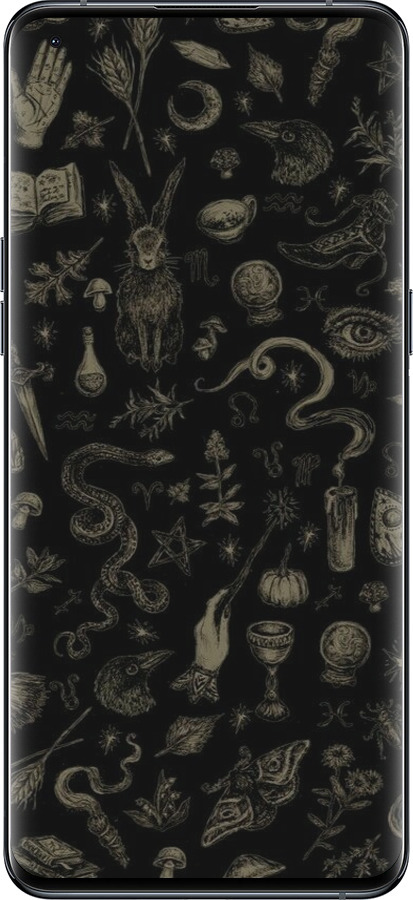 Силиконовый чехол Мистический коллаж с травами и магическими символами для Oppo Find X5 Pro - 6428u-2603 изображение 