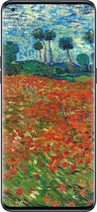 Силиконовый чехол Винсент Ван Гог-Маковое поле для Oppo Find X5 Pro - 6466u-2603 изображение 