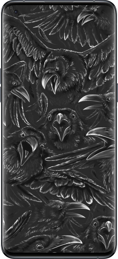 Силиконовый чехол Воронья ярость для Oppo Find X5 Pro - 6474u-2603 изображение 