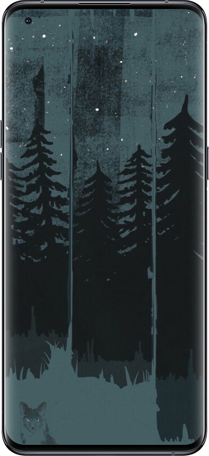 Силиконовый чехол Лиса и ночной лес для Oppo Find X5 Pro - 6481u-2603 изображение 