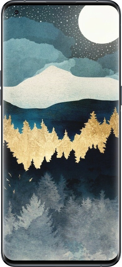 Силиконовый чехол Ночной пейзаж с лесом и горами для Oppo Find X5 Pro - 6493u-2603 изображение 