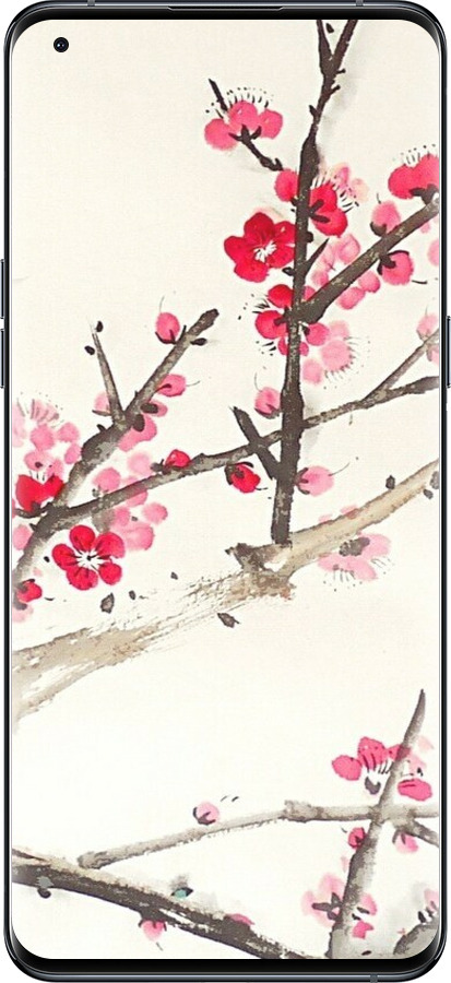 Силиконовый чехол Принт с изображением цветения сакуры для Oppo Find X5 Pro - 6545u-2603 изображение 