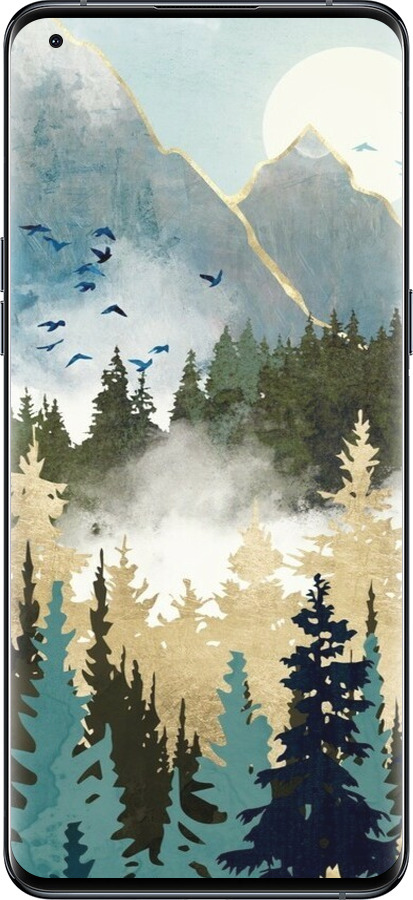 Силиконовый чехол С изображением лесного пейзажа для Oppo Find X5 Pro - 6548u-2603 изображение 