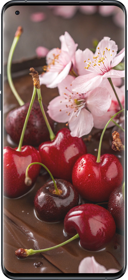 Силиконовый чехол Вишня в шоколаде для Oppo Find X5 Pro - 6698u-2603 изображение 