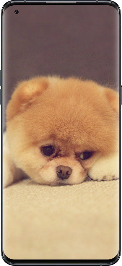 Силиконовый чехол Boo 2 для Oppo Find X5 Pro - 890u-2603 изображение 