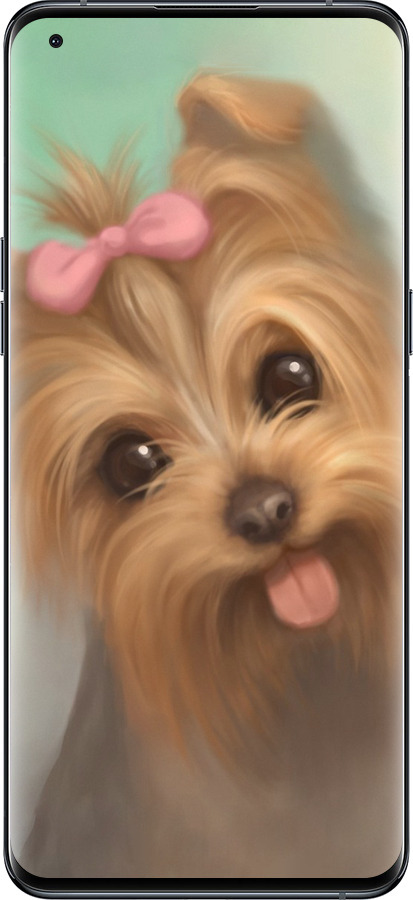 Силиконовый чехол Нарисованный йоркширский терьер для Oppo Find X5 Pro - 928u-2603 изображение 